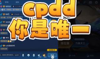 cpdd官方网站 cpdd是什么意思